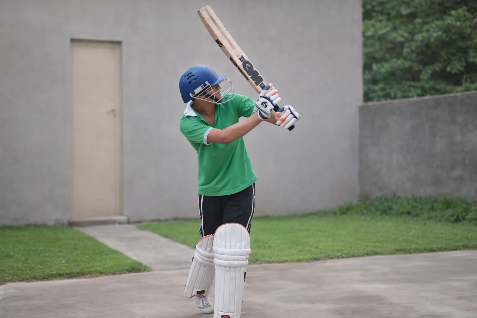 Cricket